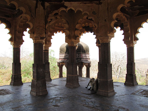 3. Ranthambore Fort