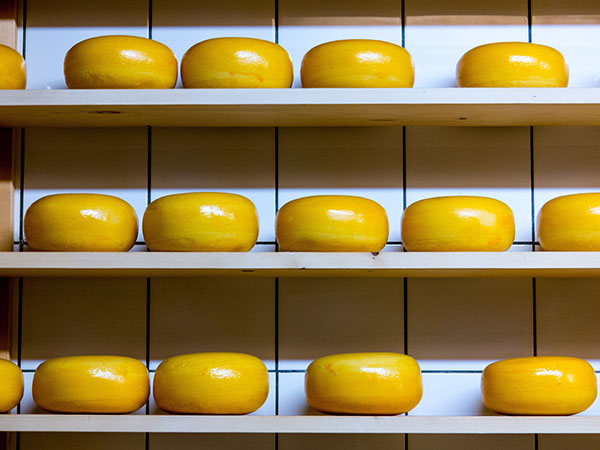 2. Cheese Making