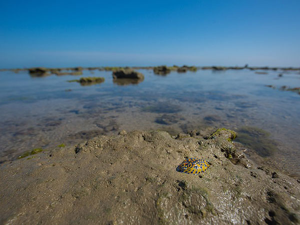 3) Narara Marine National Park, Jamnagar