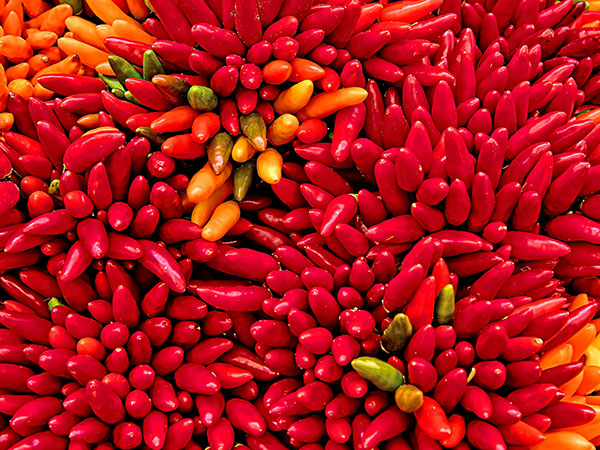 3. Land Of World’s Hottest Chilli Pepper