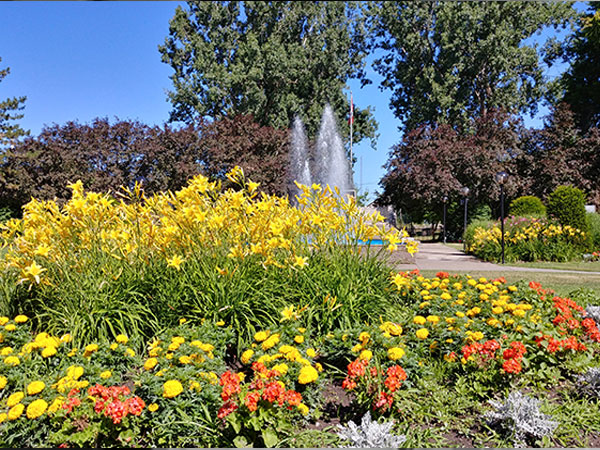 2. Valley Of Flowers