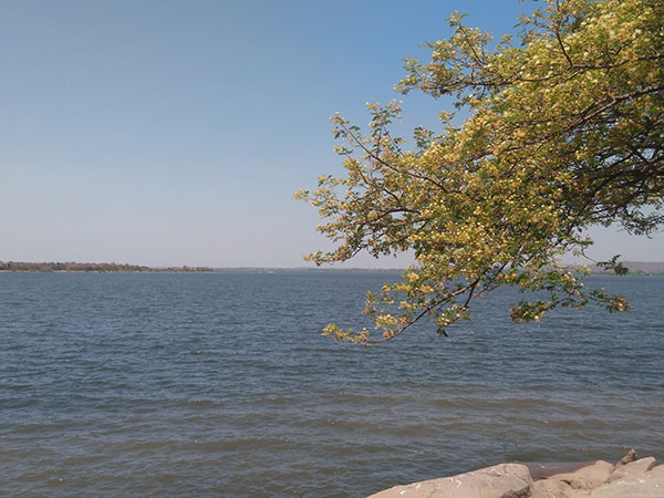 2) Singur Dam