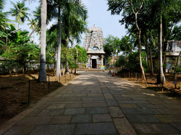 7. Tiruchirappalli
