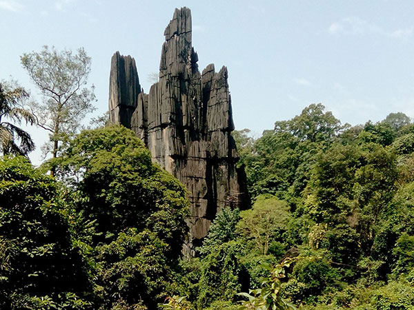15) Sirsi