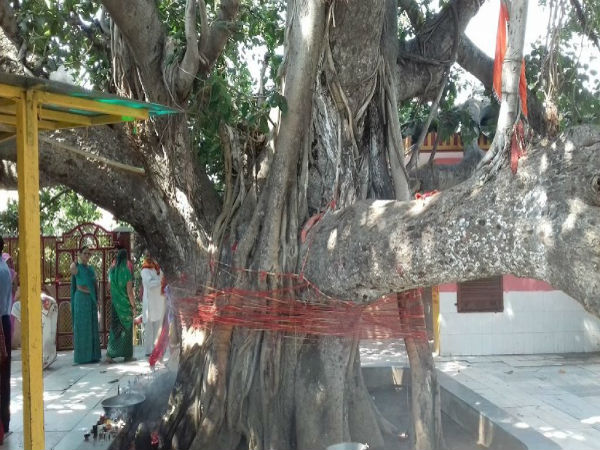 5. Akshay vat vatika