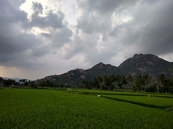 8) Kalrayan Hills, Tamil Nadu: