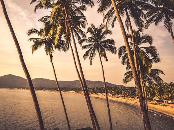 The Beach: