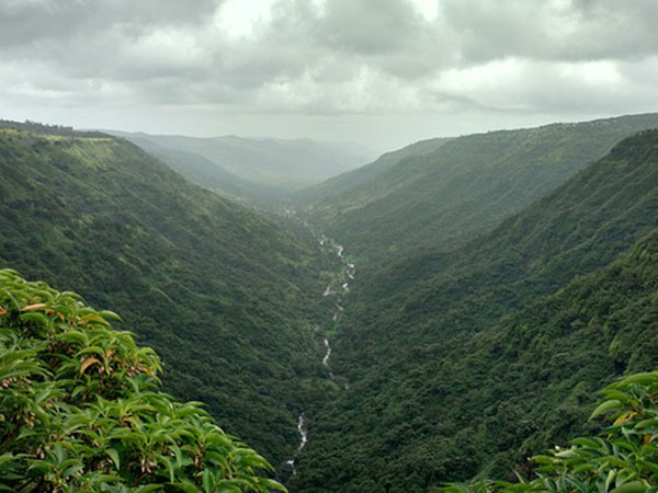 3) Pachaimalai Hills, Tamil Nadu: