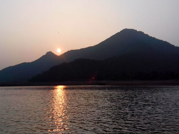 7) Pattiseema: