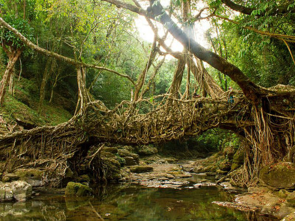 4. Riwai village