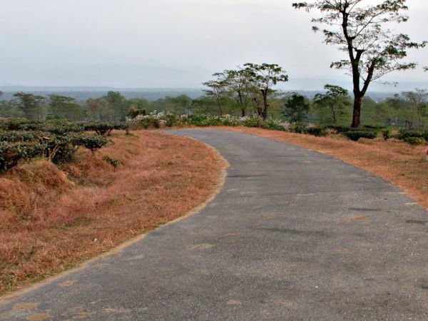 Attractions In Samsing