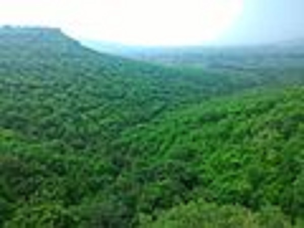 Best Time To Visit Satna
