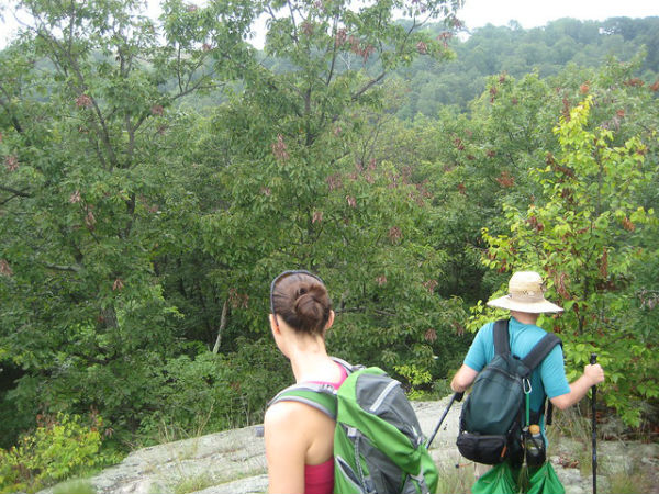 4. Hiking