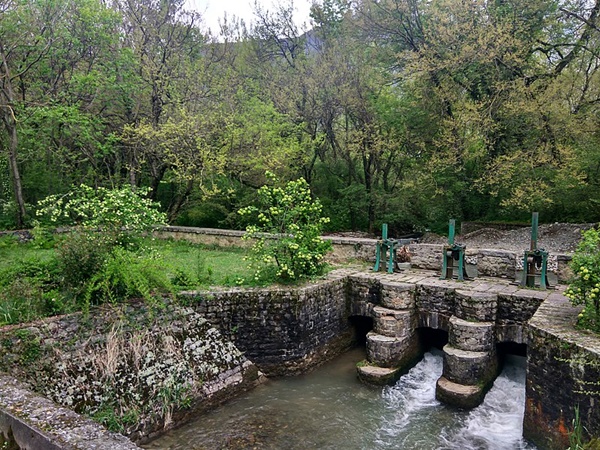 2. Dachigam National Park