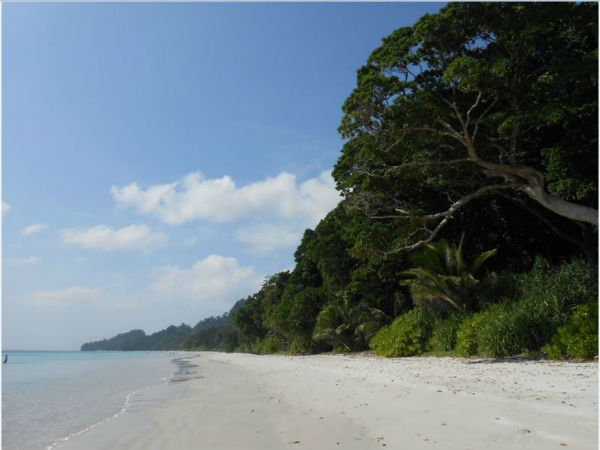 Radhanagar Beach