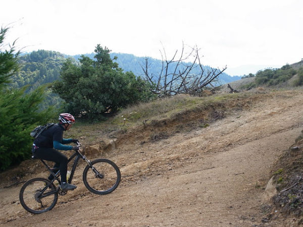 Find your perfect cycle: