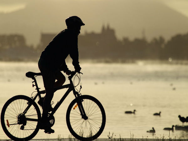 What you need to check before buying the cycle: