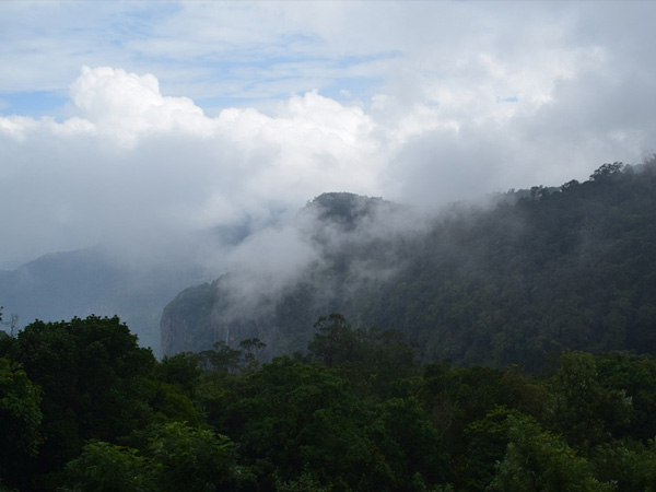Coonoor