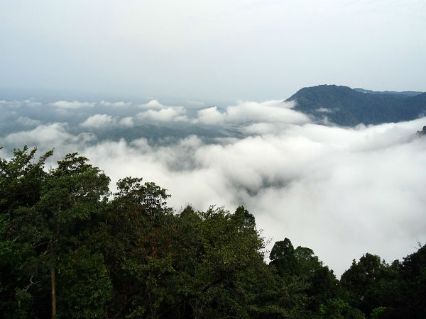 5. Agumbe