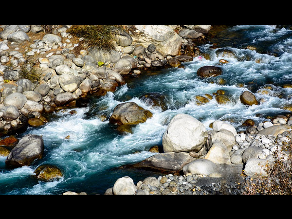 7.Beas