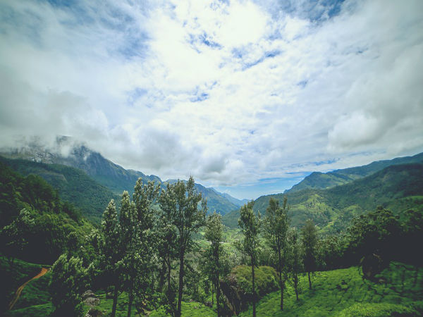 19. Munnar