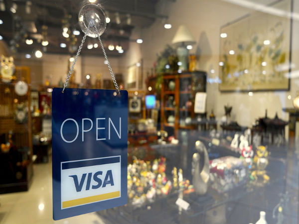 The Visa Program