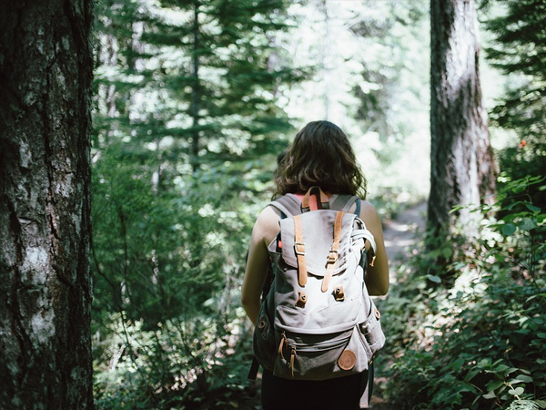 3. Trekking