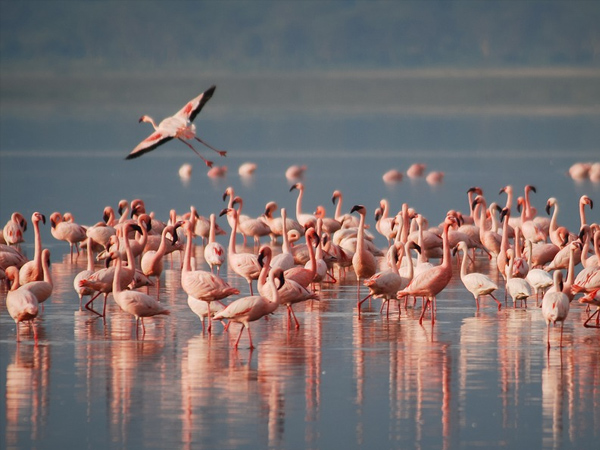 7. Kutch, Gujarat
