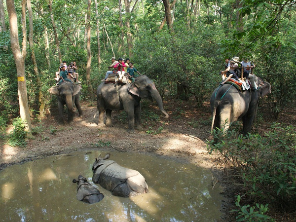 2. Elephant ride