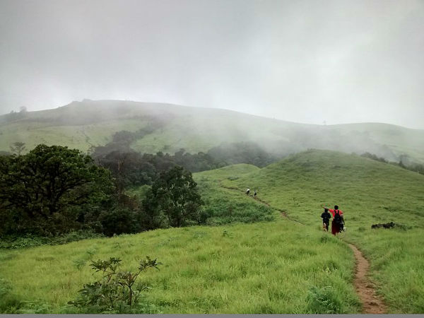 1. Trekking