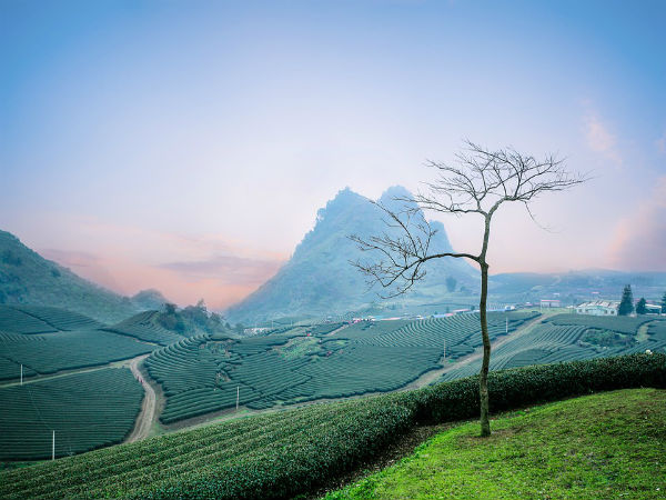 3. Darjeeling