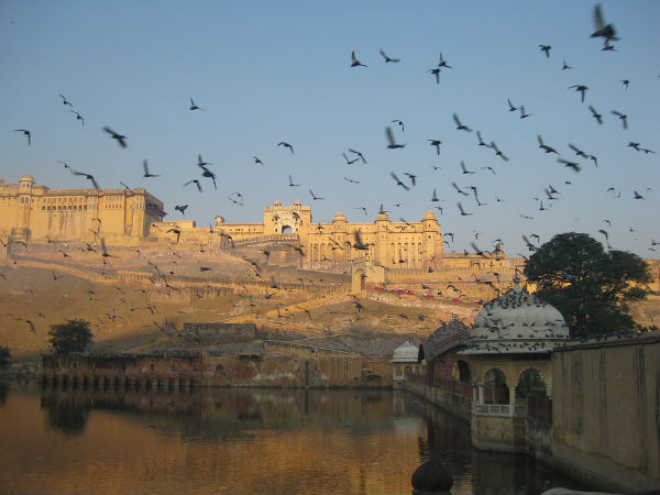 8. Jaipur