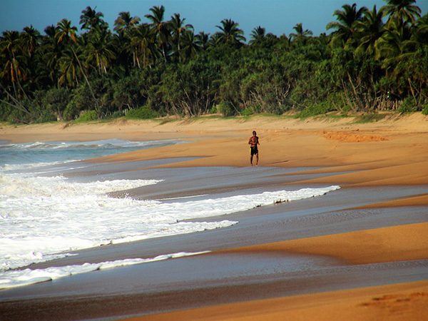 6. Mararikulam Beach, Kerala