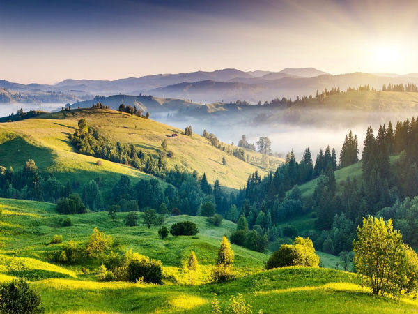 8. Ziro, Arunachal Pradesh