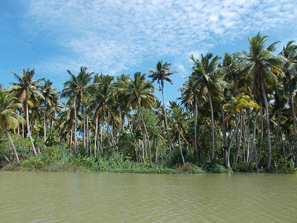 9. Poovar