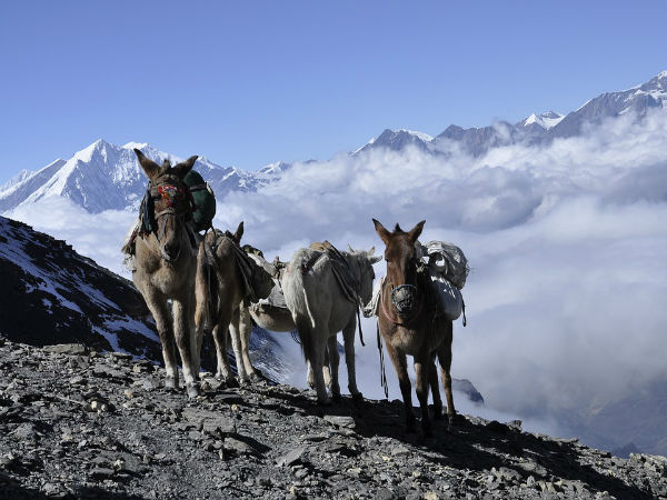 6. Sela Pass