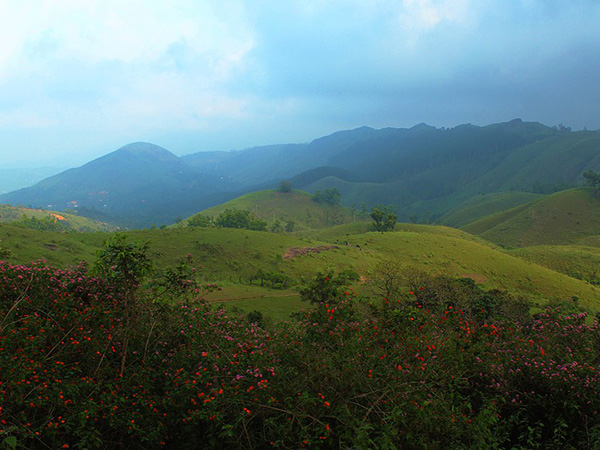 5. Vagamon