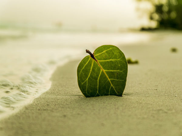 4. Varkala