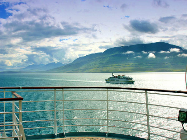 7. Cruise tour is synonymous with safari on water
