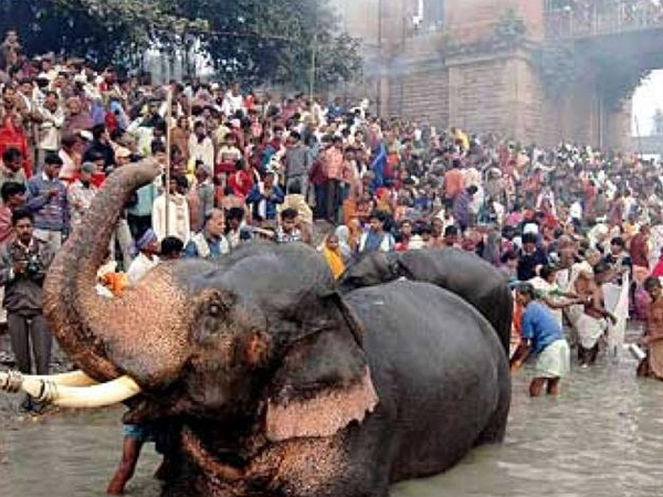 8. Sonepur Mela, Bihar