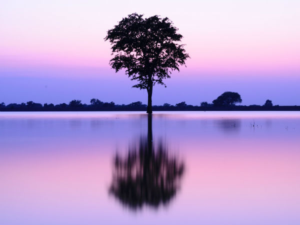 Dalpat Sagar Lake