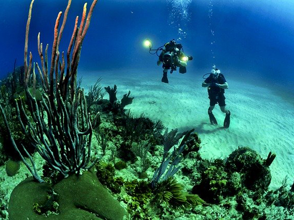 2. Andaman – Scuba Diving And Snorkelling