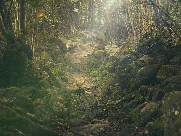 2. Hiking trails