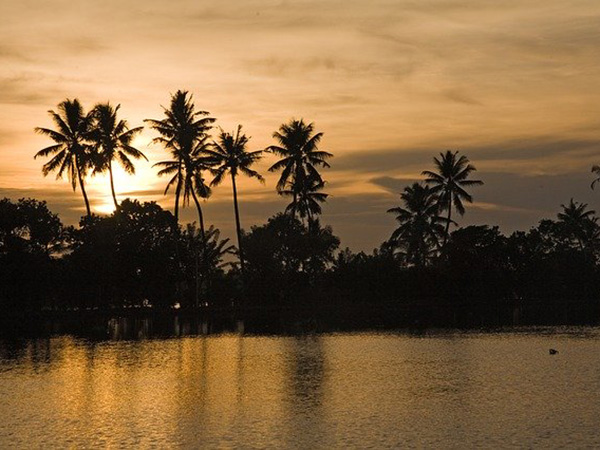 1. Instead Of Alleppey, Visit Thekkekadu