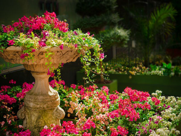 2. Indira Glasshouse