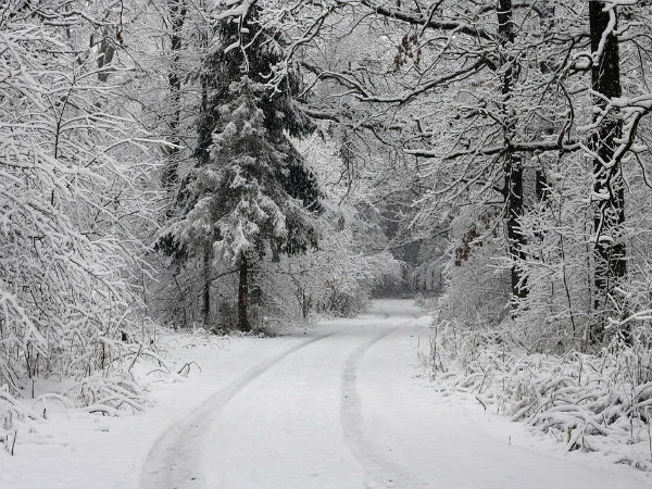 6. Pahalgam, Jammu