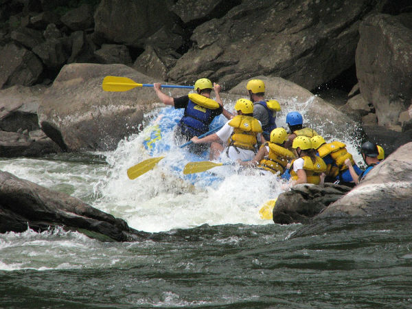 5. Instead Of Rishikesh, Visit Tirthan Valley In Himachal Pradesh