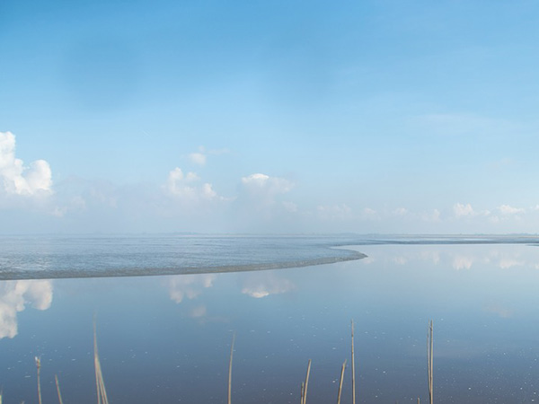 10. Instead Of Jaisalmer, Visit Rann Of Kutch