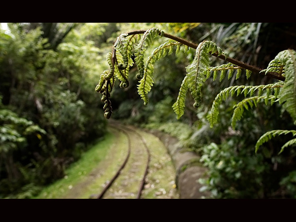 6. Itanagar