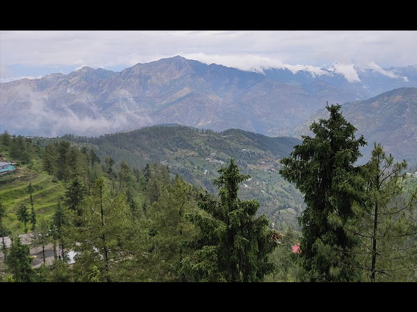 8. Shimla